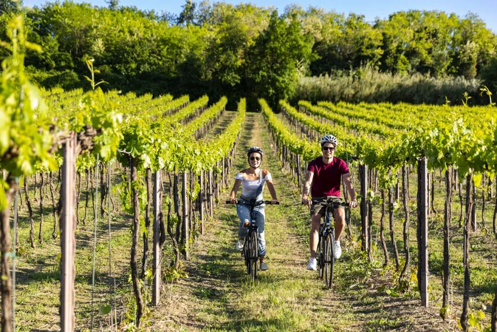 tra-i-vigneti-in-bici tra-i-vigneti-in-bici